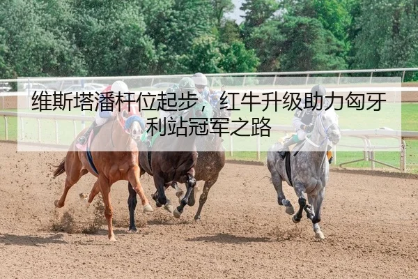 维斯塔潘杆位起步，红牛升级助力匈牙利站冠军之路